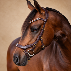 Collection image for: Bridles, Bits & Reins