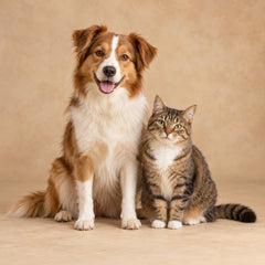 Collection image for: Dog & Cat