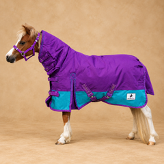 Collection image for: Miniature Horse & Pony