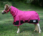 Insulation Measuring Stick ShowStar 1680D Winter Paddock Combo - Pink with Black Trim – Kingston ...