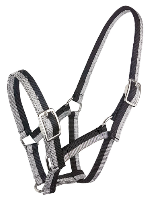 Sparkle Foal Halter - Foal/Small Pony