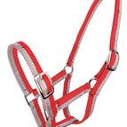 Red & Silver