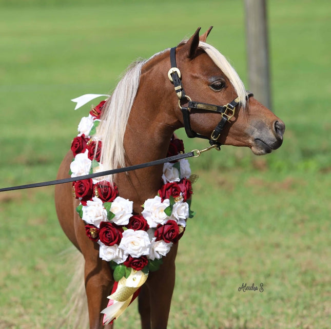 ShowStar Miniature Western Show Halter - Gold Design