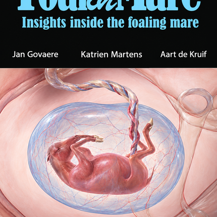 Foal In Mare DVD Insights Inside The Foaling Mare