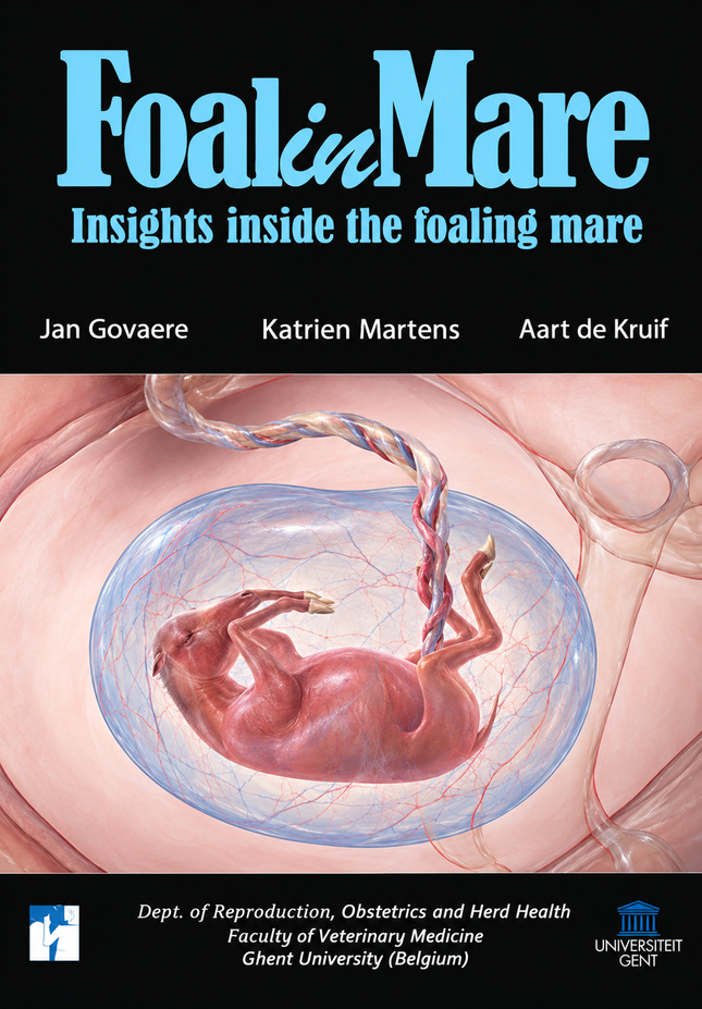 Foal In Mare DVD Insights Inside The Foaling Mare