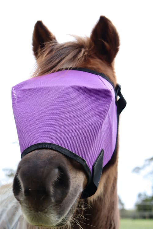 Flyveils By Design - Fly Mask