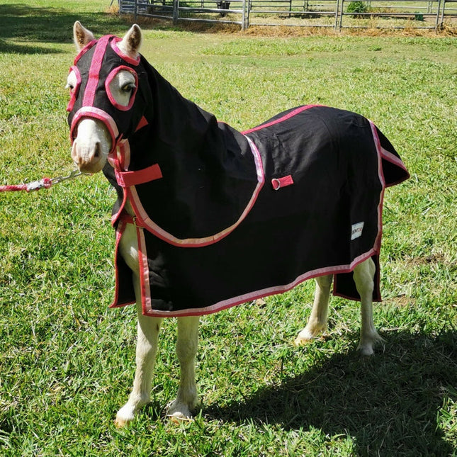 ShowStar ShowSet Hood, Rug + Tailbag - Black with Pink / Bubblegum Trim - 2'6 - 4'6