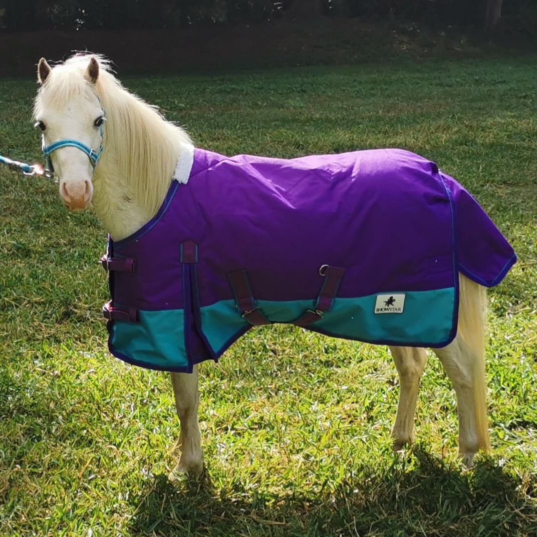 ShowStar 1680D Winter Paddock Rug - Purple and Teal Trim – Kingston ...