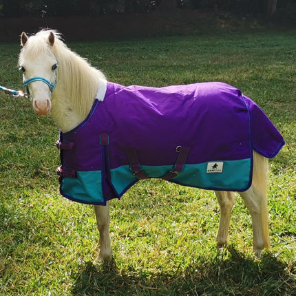 ShowStar 1680D Winter Paddock Rug - Purple and Teal Trim