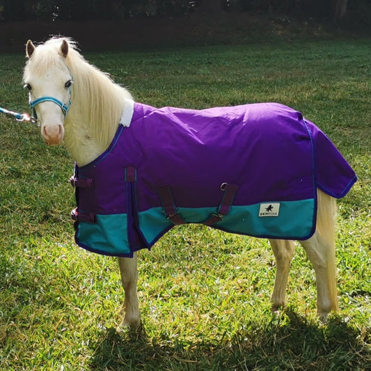 ShowStar 1680D Winter Paddock Rug - Purple and Teal Trim – Kingston ...