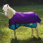 ShowStar 1680D Winter Paddock Rug - Purple and Teal Trim – Kingston ...