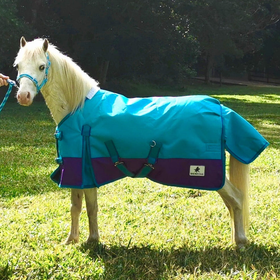 ShowStar 1680D Winter Paddock Rug - Purple with Teal Trim – Kingston ...