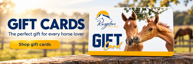 &nbsp;Gift Cards for Every Occasion&nbsp;