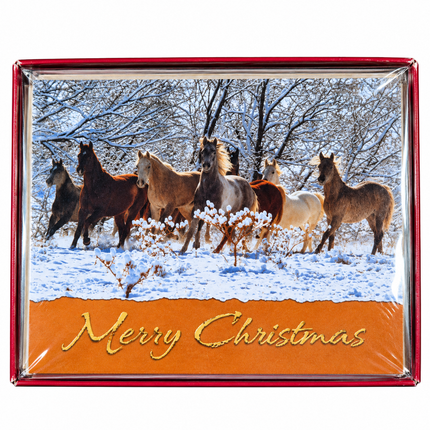 Christmas Card - Merry Christmas - 10 Pack