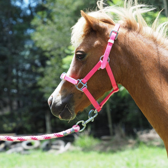 ShowStar PVC Miniature Halter - Pink