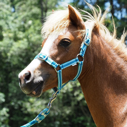ShowStar Miniature Horse Halter - 2tone Teal