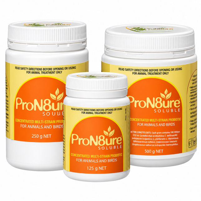 Pron8ture Orange Soluble Powder - (formerly called Protexin)