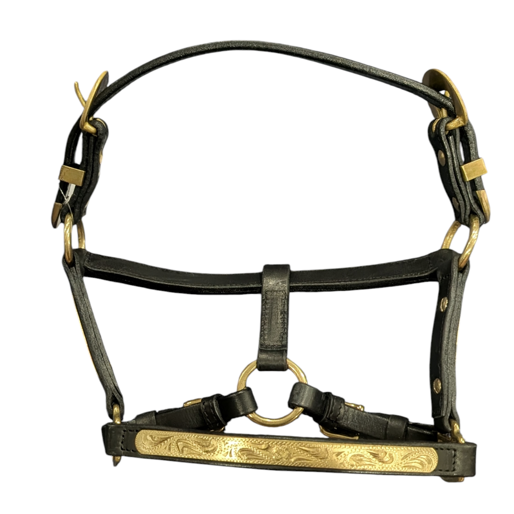 ShowStar Miniature Western Show Halter - Gold Design