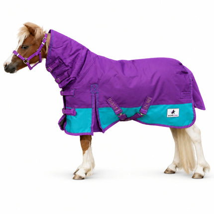 ShowStar 1680D Winter Paddock Combo - Purple with Teal Trim