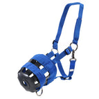 Miniature / Blue