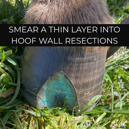 Beeswax BLUE Balls® Hoof Wall Crevice Wax