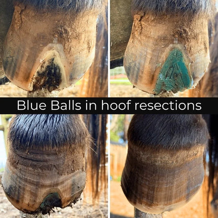 Beeswax BLUE Balls® Hoof Wall Crevice Wax