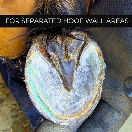 Beeswax BLUE Balls® Hoof Wall Crevice Wax