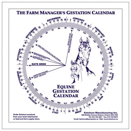 Equine Gestation Calendar