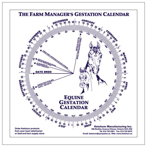 Equine Gestation Calendar