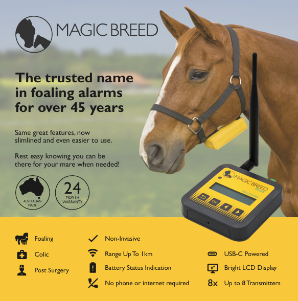 MAGIC BREED PLUS - (NEW and IMPROVED 2025 Model)