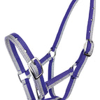 Purple & Silver