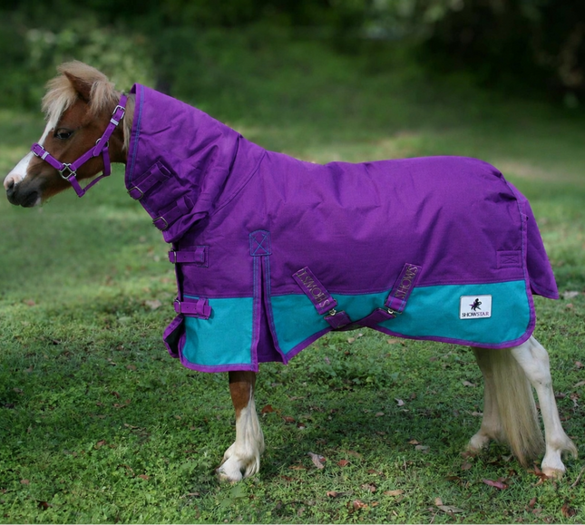 ShowStar 1680D Winter Paddock Combo - Purple with Teal Trim