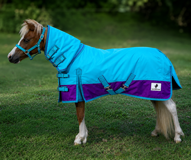 ShowStar 1680D Winter Paddock Combo - Teal with Purple Trim